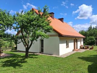 domek w pobliżu jeziora - Czarnówka - 8