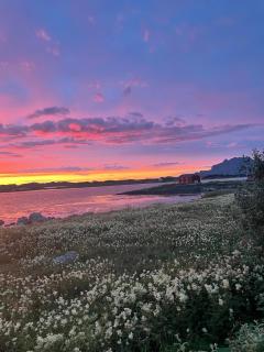 Leilighet på Herøy - - 7