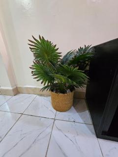 Rolex Apartment - Nairobi - 2