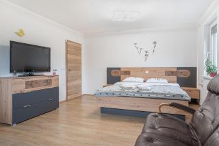 House Dijana With Pool - Happy Rentals - Nova Vas - 4
