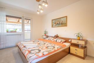 House Dijana With Pool - Happy Rentals - Nova Vas - 2