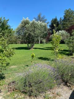 Le Mas à l'ombre des platanes - Cavaillon - 5
