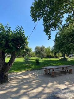 Le Mas à l'ombre des platanes - Cavaillon - 6