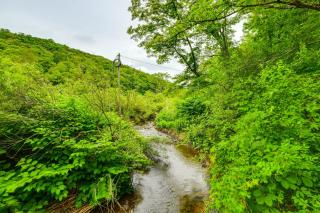 Mtn-View Deck and Grill Creekside Catskills Cabin! - Equinunk - 9