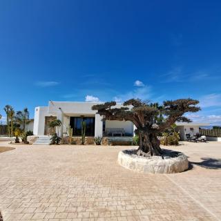 Tropical 2025 - San Fulgencio - 7