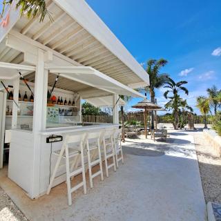 Tropical 2025 - San Fulgencio - 8