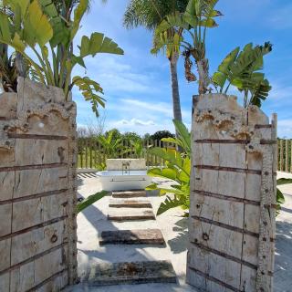 Tropical 2025 - San Fulgencio - 6