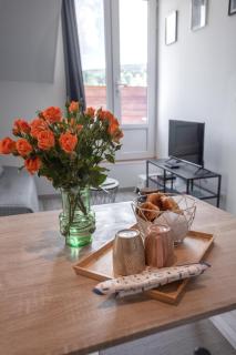 Le Nid vue et détente à St Etienne - 3