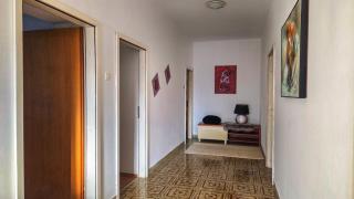 Holliday house Lidia - Brijuni - 5