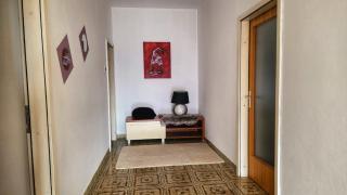 Holliday house Lidia - Brijuni - 6