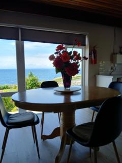 Dolphin Watch - Fanore - 9