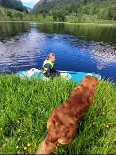 Nesvika 5 bedroom holiday home, only 25 min from Bergen - 3