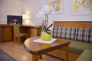 Seehotel Schwan - Gmunden - 9