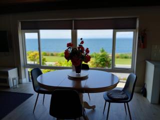 Dolphin Watch - Fanore - 0