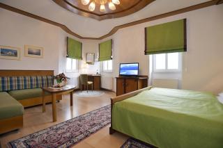 Seehotel Schwan - Gmunden - 7
