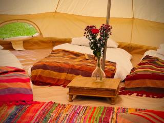 Edinburgh Festival Glamping - Edimburgo - 8