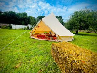 Edinburgh Festival Glamping - Edimburgo - 5