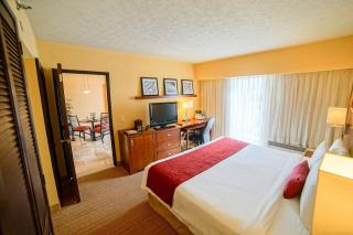 Courtyard by Marriott Puebla Las Animas - Puebla - 1