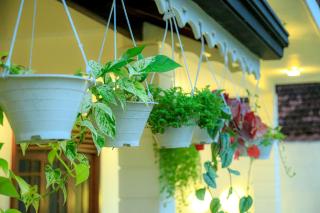 Transit Colombo Homestay - Negombo - 1
