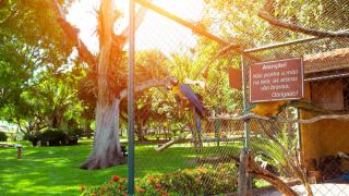 SR Farm Hotel - Brotas - 1