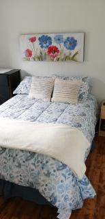 Hatchet Harbour Cottage - Herring Neck - 4