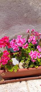 Nicolas House - Campiglia dʼOrcia - 8
