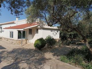 Makihouse - Iraion - 4