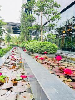Khu nghỉ dưỡng khoáng nóng Lynn Times Thanh Thủy Phú Thọ Hotels & Villas - - 6
