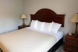 Raceway Inn - Darlington - 2