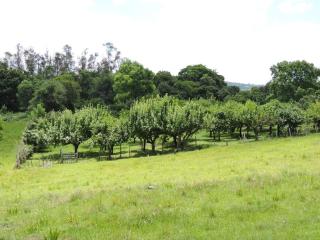 Pousada Sítio Paremi - Caxias do Sul - 9