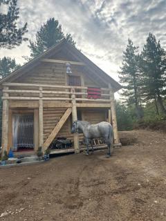 Aleos cabin - Bajram Curri - 5