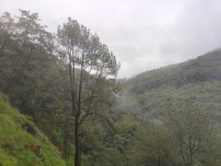 Jungle Crown Organic Homestay - 4