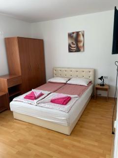 Vila Dunjić Prolom Banja - 6