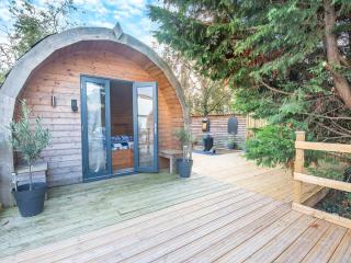 Boxing Hare - Uk39915 - Heckington - 0