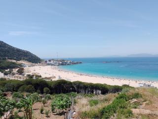 Appartement dalia - Dalia - 0