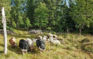 2 Bedroom Beautiful Home In Aurskog - 4