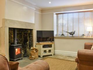 Meadow View Cottage - Stanhope - 0