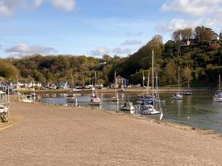 Snowdrop Cottage - Fishguard - 9