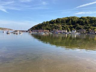 Snowdrop Cottage - Fishguard - 8