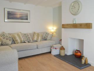 Snowdrop Cottage - Fishguard - 7