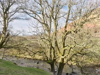 Combe Cottage-Uk42228 - Low Borrowbridge - 2