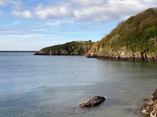 Snowdrop Cottage - Fishguard - 1