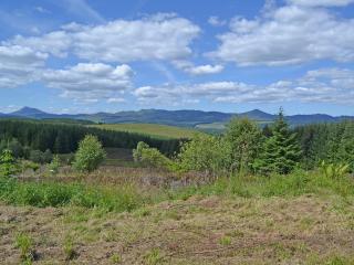 Elnagar Cottage - Pitlochry - 1