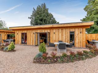 Fioled - Uk40267 - Llangadfan - 0