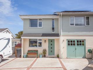 Driftwood Cottage - Galmpton - 0