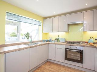 Driftwood Cottage - Galmpton - 4