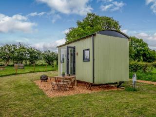 Foxglove - Uk37639 - Bradbourne - 0