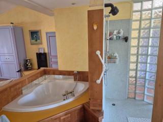 Villa in Le Luc with Pool & Vineyard Views - Le Luc - 8