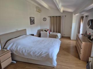 Villa in Le Luc with Pool & Vineyard Views - Le Luc - 1