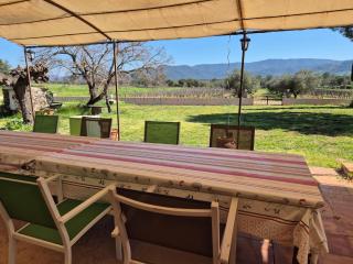 Villa in Le Luc with Pool & Vineyard Views - Le Luc - 7